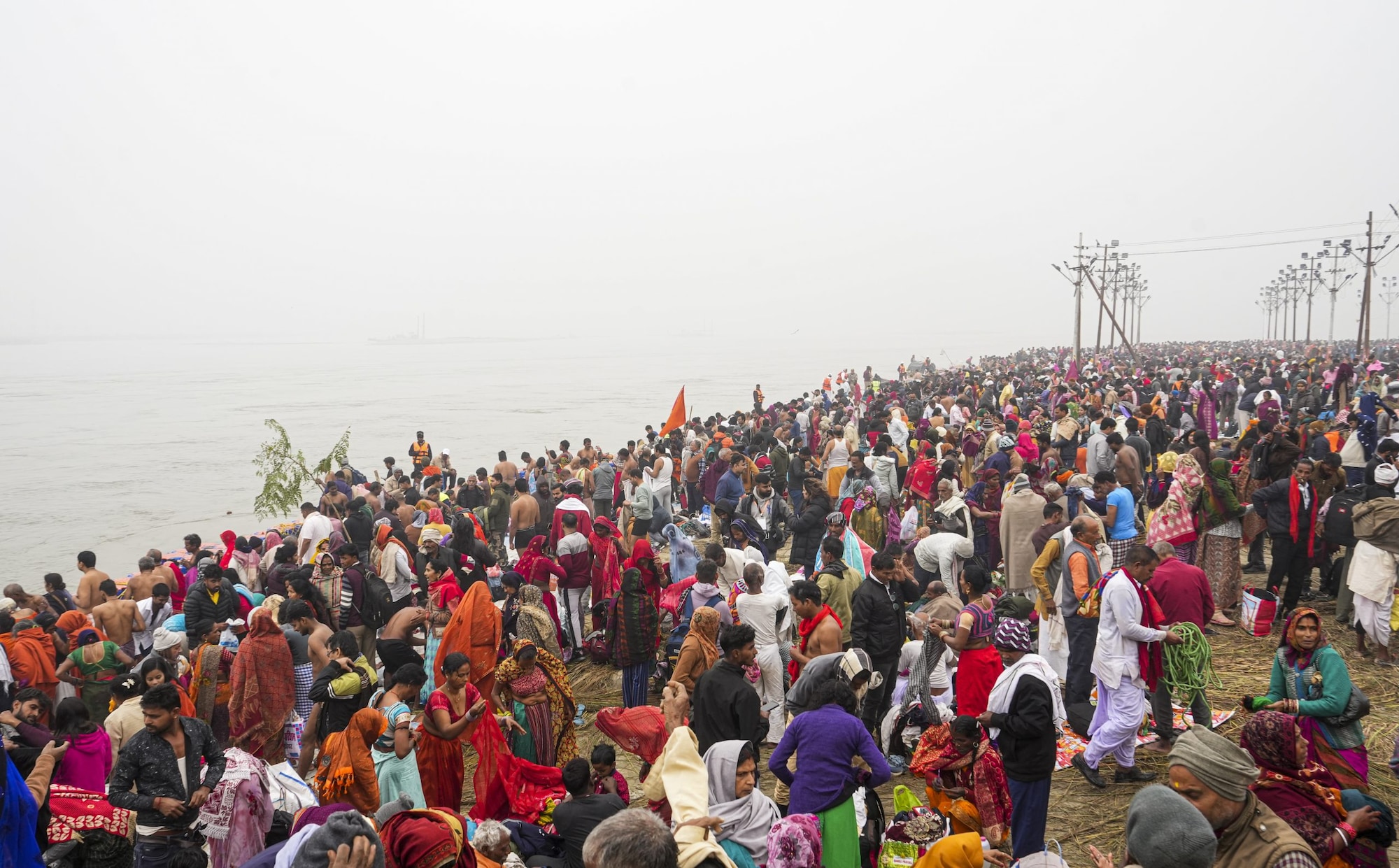 Firstup Delhi Elections Pm Modi To Take Holy Dip At Kumbh Top News