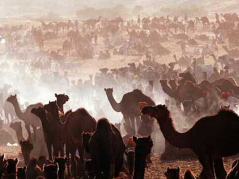 Must-do festival getaways: From Rajasthan to Phnom Penh