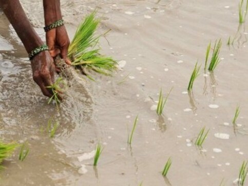 Rains overstay, but that's good news for fight against prices Rains overstay, but that's good news for fight against prices