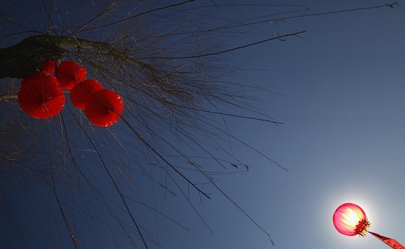 Images: China celebrates the Year of the Dragon Images: China celebrates the Year of the Dragon