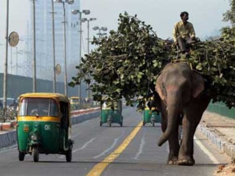 A new cab at auto fares: Delhi's commuter heaven? A new cab at auto fares: Delhi's commuter heaven?