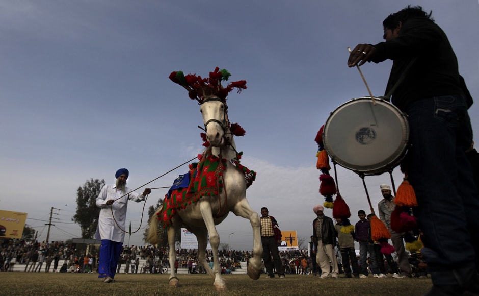 A horse has a field day, as it is made to dance to the rhythm of a drum during the "Indian Rural Olympics". AP A horse has a field day, as it is made to dance to the rhythm of a drum during the "Indian Rural Olympics". AP