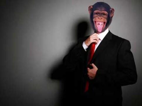Competition ahoy: Monkey 1, Sensex in neck-and-neck race