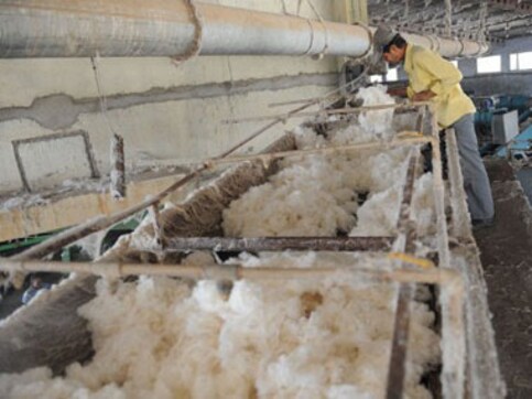 Shock cotton exports ban hurts India's image, sends prices surging Shock cotton exports ban hurts India's image, sends prices surging