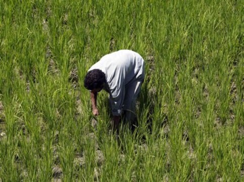 Budget 2019: PHD Chamber expects reforms in farm sector, rationalisation of direct taxes; says bold steps essential to boost investment Budget 2019: PHD Chamber expects reforms in farm sector, rationalisation of direct taxes; says bold steps essential to boost investment
