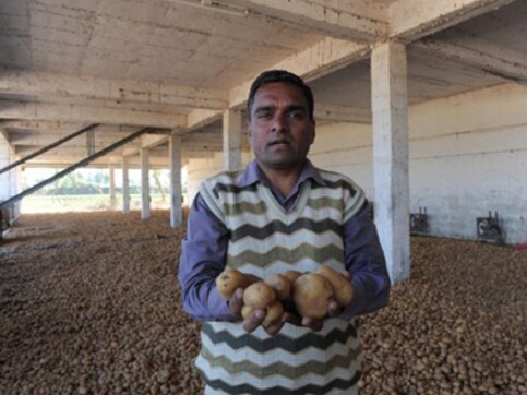 It's the middlemen again: Price of potatoes up 53%, tomatoes 33% It's the middlemen again: Price of potatoes up 53%, tomatoes 33%