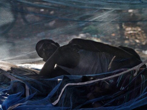 Malaria rises by 71%, cholera makes a Mumbai comeback Malaria rises by 71%, cholera makes a Mumbai comeback