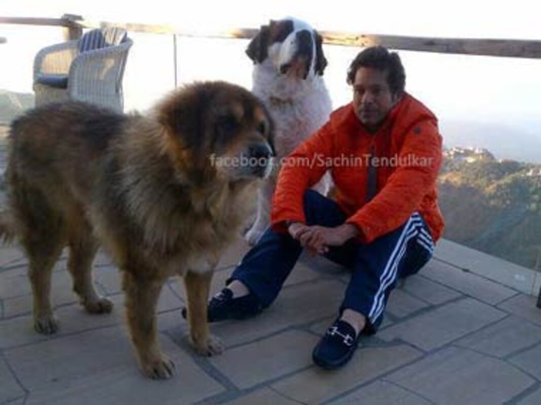 Sachin His Dogs And His New Chilled Out Life Sports News Firstpost