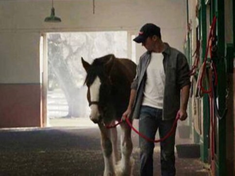 Budweiser win: How social media multiplied Super Bowl messages