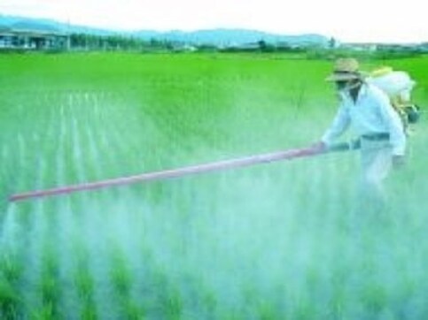 Budget poses fertiliser spending crunch in 2013-14 Budget poses fertiliser spending crunch in 2013-14