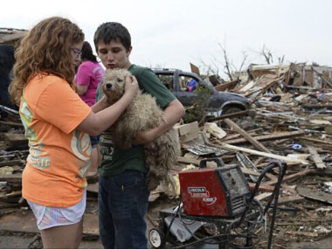 Tornado was like Hollywood film 'Twister', saw horses flying: Survivor