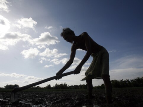 Farm sector will lose 4 mn workers in 12th Plan period, says govt Farm sector will lose 4 mn workers in 12th Plan period, says govt
