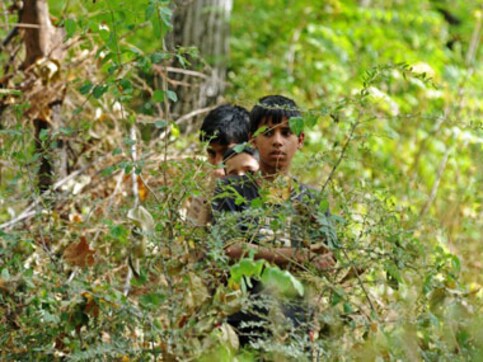 4,400 acres of forest land still with encroachers 4,400 acres of forest land still with encroachers