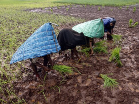 Bright side of the monsoon: it's good for kharif crop Bright side of the monsoon: it's good for kharif crop