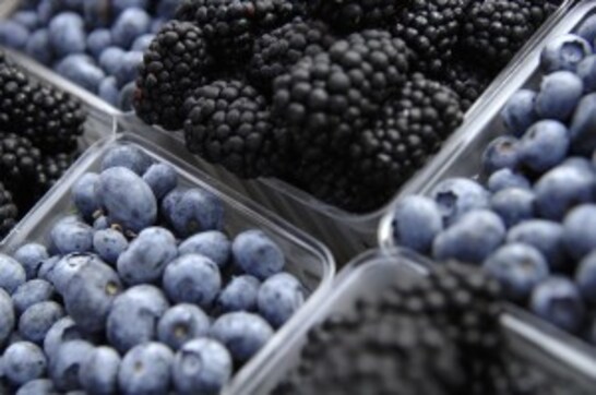 Study: Red grapes, blueberries may enhance immune function Study: Red grapes, blueberries may enhance immune function