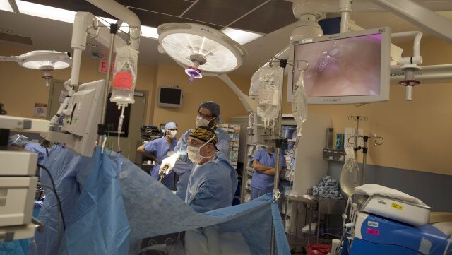 World Organ Donation Day 2021: Day marked to raise awareness about cadaver donation; all you need to know World Organ Donation Day 2021: Day marked to raise awareness about cadaver donation; all you need to know