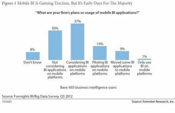 Mobilising BI: The Next Big BI Thing Mobilising BI: The Next Big BI Thing