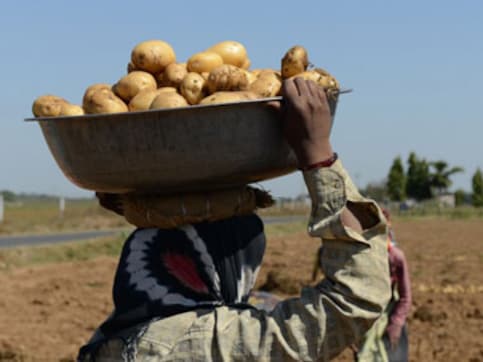 WPI inflation rises to over 4-year high of 5.77% in June on costlier vegetables, fuel; potato price hike at peak of 99% WPI inflation rises to over 4-year high of 5.77% in June on costlier vegetables, fuel; potato price hike at peak of 99%