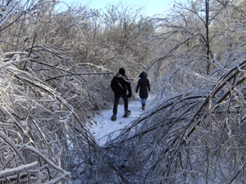 Ice storm leaves 500K without power in US, Canada