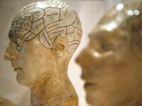 Women have a much stronger sense of smell than men: study Women have a much stronger sense of smell than men: study