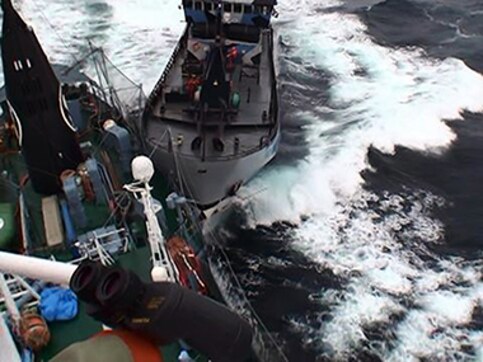 Japan withdraws from IWC to resume commercial whaling, comes under heavy criticism for 'sneaky step' Japan withdraws from IWC to resume commercial whaling, comes under heavy criticism for 'sneaky step'