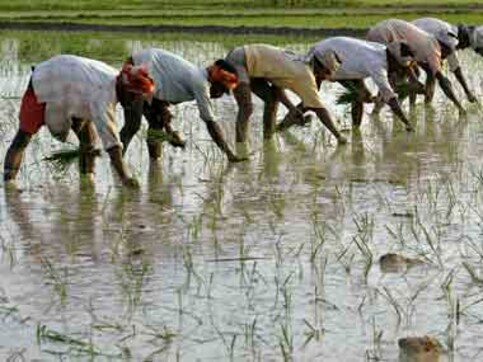 Farm credit to cross Rs 7 lakh cr, exports to surge over $45 bn Farm credit to cross Rs 7 lakh cr, exports to surge over $45 bn
