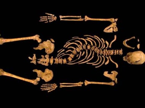Potential 'killer blow' was responsible for King Richard III's death: researcher Potential 'killer blow' was responsible for King Richard III's death: researcher