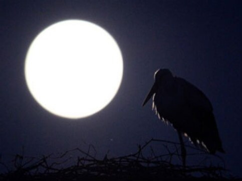 Beautiful full moon night? It might reduce your sleep by 20 mins Beautiful full moon night? It might reduce your sleep by 20 mins