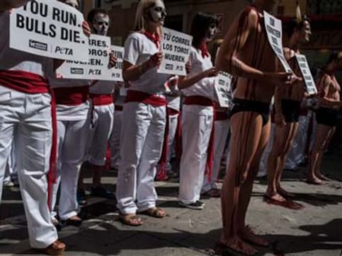 Spain's bull run begins in Pamplona amid protests Spain's bull run begins in Pamplona amid protests