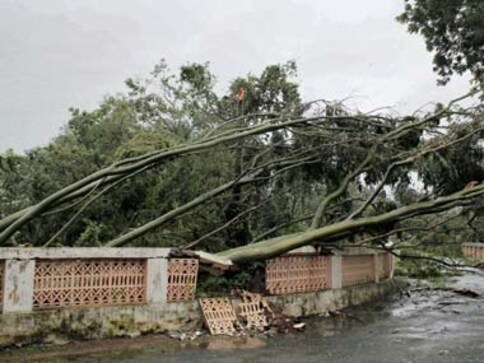 Mumbai wall collapse: Two killed, one severely injured