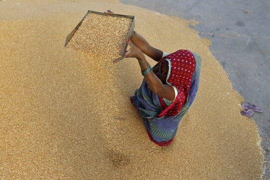 India to face challenges in balancing food security with environment sustainability: Dalberg Advisors report India to face challenges in balancing food security with environment sustainability: Dalberg Advisors report