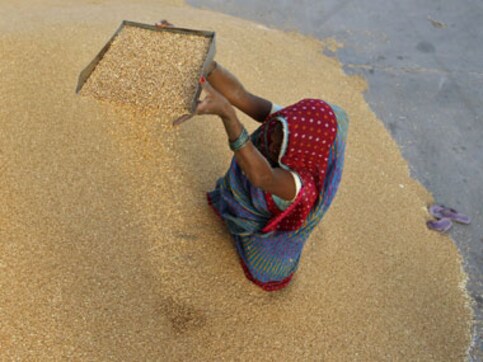 World Food Day Quiz: Do you know what issues affect food production and consumption globally? World Food Day Quiz: Do you know what issues affect food production and consumption globally?
