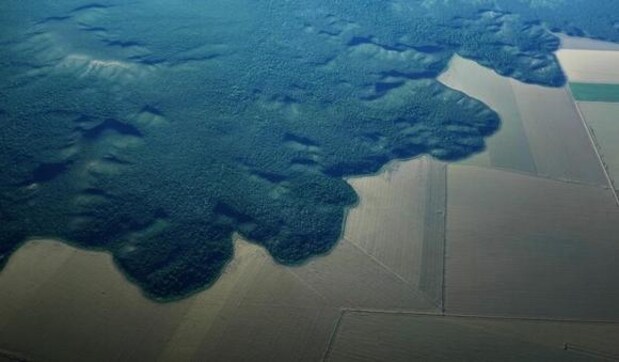 Brazil confirms Amazon deforestation sped up in 2013 Brazil confirms Amazon deforestation sped up in 2013