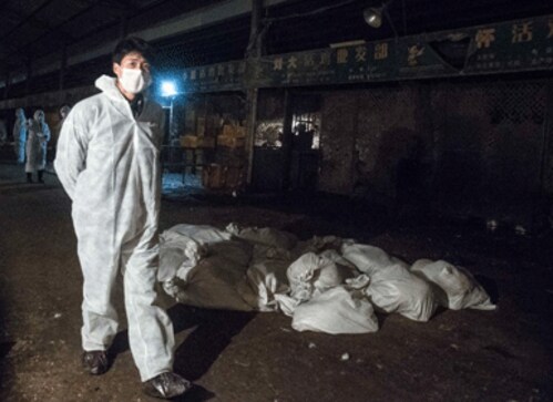 Bird flu strikes poultry farms in northeast China again