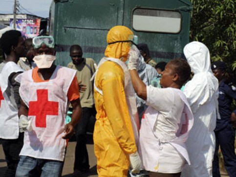 Bat-filled hollow tree in Guinea was Ebola epidemic's ground zero: scientists Bat-filled hollow tree in Guinea was Ebola epidemic's ground zero: scientists