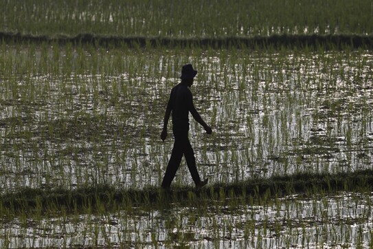 IVRCL gets Rs 1,255 cr order from Karnataka, BHEL IVRCL gets Rs 1,255 cr order from Karnataka, BHEL