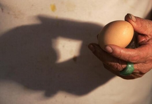 China bans U.S. poultry, eggs imports amid avian flu fears- USDA China bans U.S. poultry, eggs imports amid avian flu fears- USDA