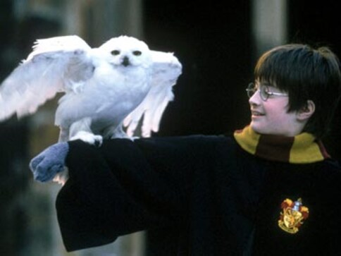 On Harry Potter's 38th birthday, a look at the most iconic moments from his big screen journey On Harry Potter's 38th birthday, a look at the most iconic moments from his big screen journey