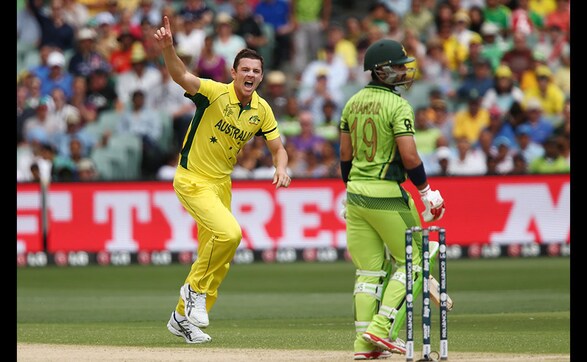 World Cup 2015: Wahab-Watson battle dominates Australia's win over Pakistan World Cup 2015: Wahab-Watson battle dominates Australia's win over Pakistan