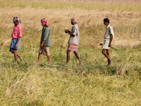 Land bill row: India's farm economy is broke; more subsidies and freebies won't fix it Land bill row: India's farm economy is broke; more subsidies and freebies won't fix it
