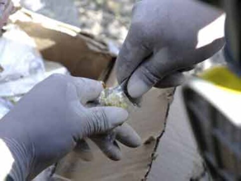 Peruvian arrested with 1.3 kg of cocaine worth Rs 65 cr at Delhi airport Peruvian arrested with 1.3 kg of cocaine worth Rs 65 cr at Delhi airport
