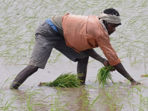 Maha BJP minister adds to Modi's Land Bill woes, says no evidence what drove farmers to suicide Maha BJP minister adds to Modi's Land Bill woes, says no evidence what drove farmers to suicide