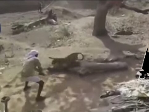 Watch: Indore man fights off leopard single-handedly with only a stick Watch: Indore man fights off leopard single-handedly with only a stick