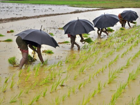 Skewed govt policies to declining yields: Do we really care about agriculture? Skewed govt policies to declining yields: Do we really care about agriculture?