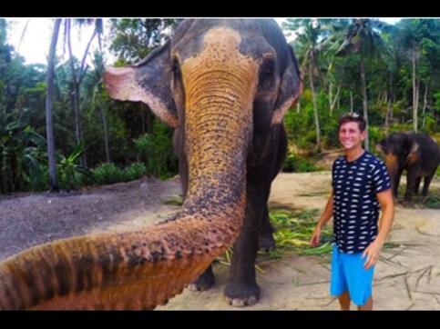 An elphie! Elephant takes viral selfie in Thailand An elphie! Elephant takes viral selfie in Thailand