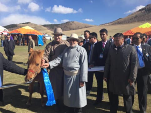 With Kanthaka: Mongolian premier gifts horse to PM Modi With Kanthaka: Mongolian premier gifts horse to PM Modi