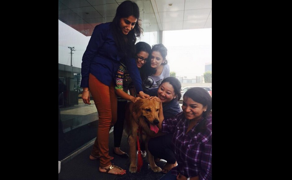 This is not the first time that Uber has come up with such initiatives in India. In January, Uber teamed up with ResQ in Pune for what it called the ‘Change a Pet’s Life Day’. It allowed users to drive Uber cars with puppies for 15 minutes, before offering them an option to donate or adopt. This is not the first time that Uber has come up with such initiatives in India. In January, Uber teamed up with ResQ in Pune for what it called the ‘Change a Pet’s Life Day’. It allowed users to drive Uber cars with puppies for 15 minutes, before offering them an option to donate or adopt.