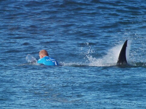 Real life superhero: Surfing champ Mick Fanning battles shark during competition Real life superhero: Surfing champ Mick Fanning battles shark during competition