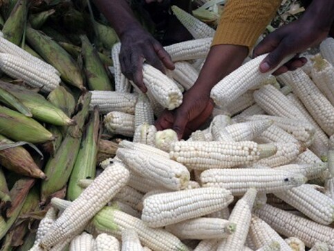 Leaders from southern Africa meet to tackle region's worst food crisis in a decade Leaders from southern Africa meet to tackle region's worst food crisis in a decade