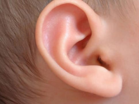 Indian-origin doctor in US grows new ears for 8-year-old boy Indian-origin doctor in US grows new ears for 8-year-old boy